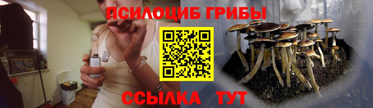 Псилоцибиновые грибы MAGIC MUSHROOMS Шарыпово